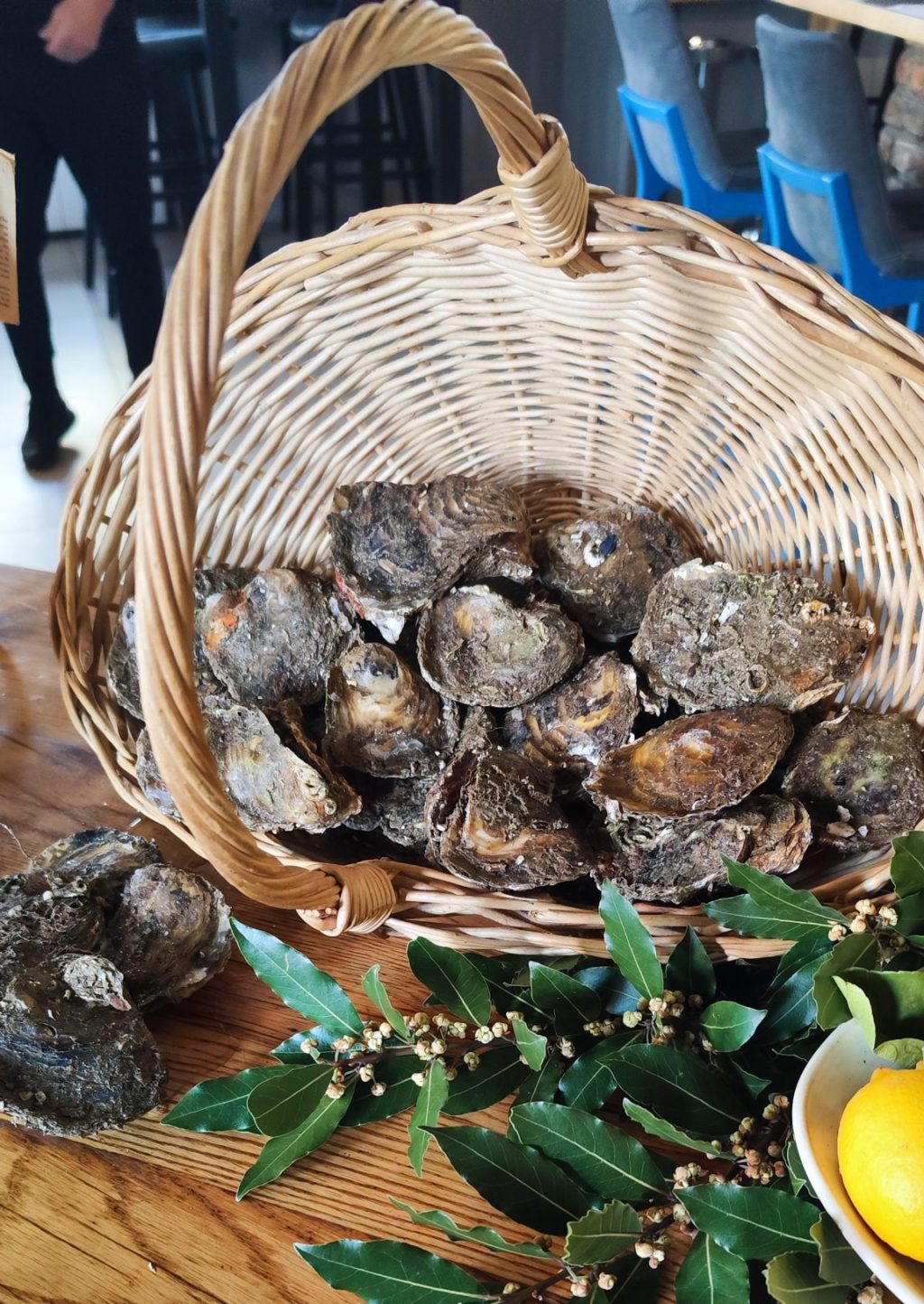 Malostonske kamenice